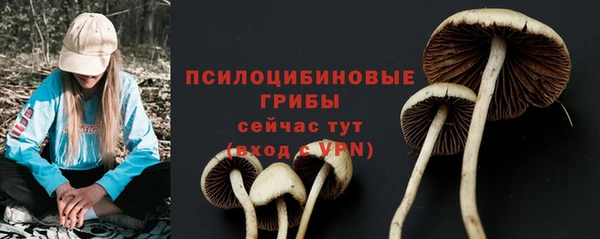 эйфоретик Алзамай