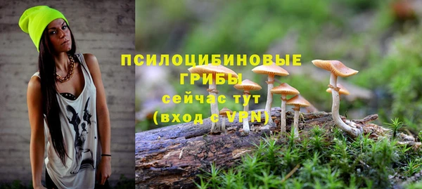 эйфоретик Алзамай