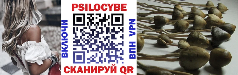 купить закладку  Ладушкин  Псилоцибиновые грибы мухоморы 